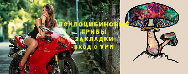 Альфа ПВП Бугульма
