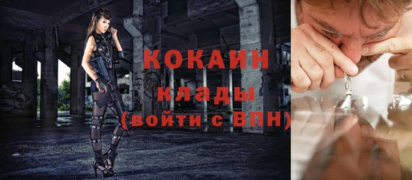 первитин Богданович