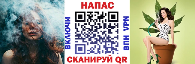 где можно купить наркотик  Нарткала  Шишки марихуана план 
